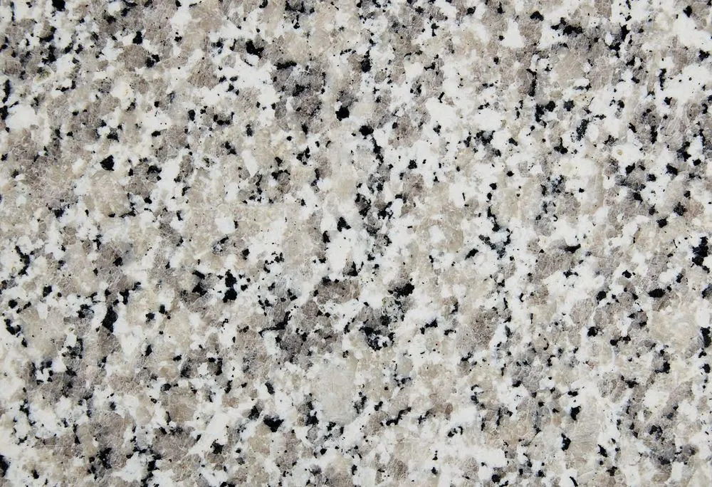 Bianco Sardo.jpg