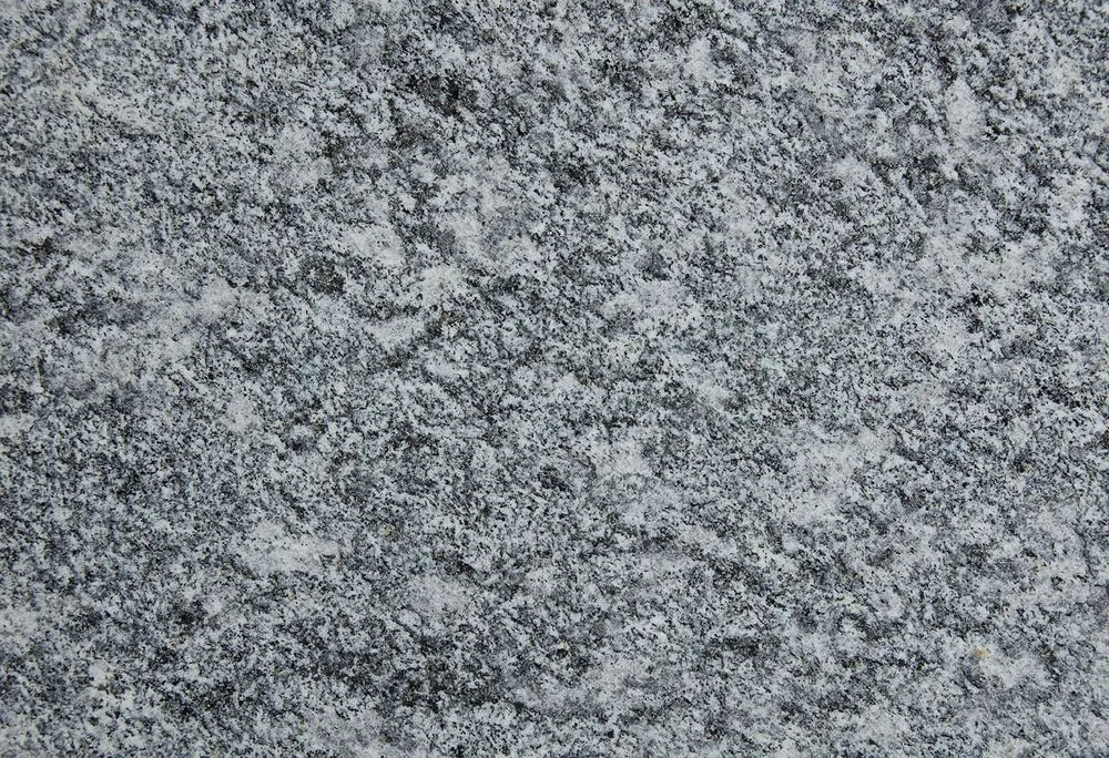 Blumaggia.jpg