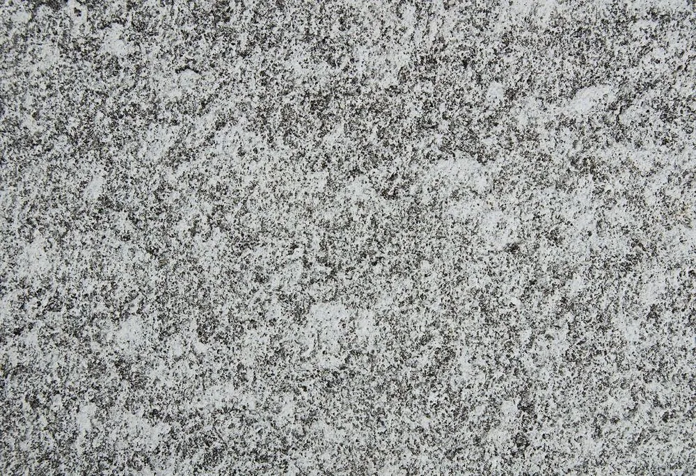 Blumaggia kugelgestrahlt.jpg