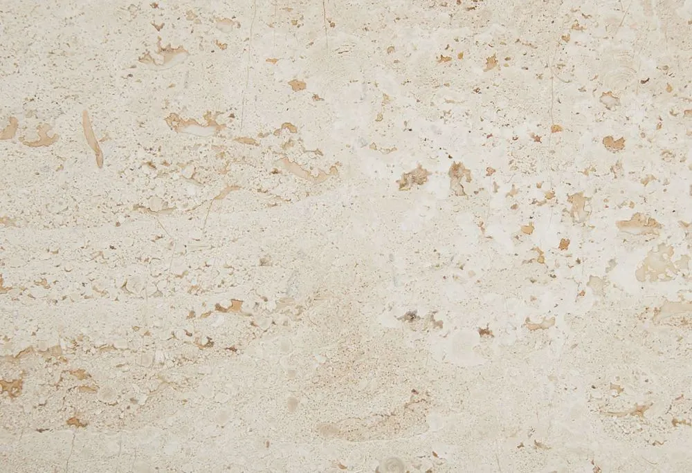 Breccia Sarda.jpg