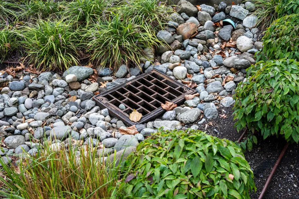 Regenwassermanagement_1037701854.jpeg