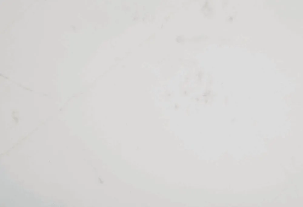 Swan.jpg