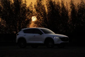 used cx-5 in the forest during sunset