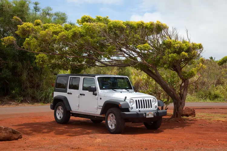 white jeep parked under a tree in the sun