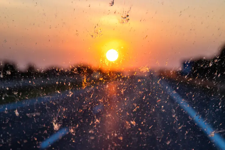 very dirty windshield driving into the sunset