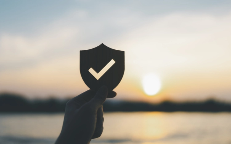 shield in sun