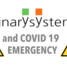 Binary System and preventive measures for the COVID19 spread containment