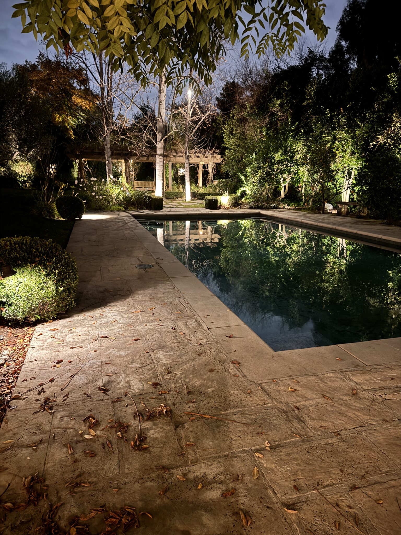 Outdoor pathway and landscape lighting at night