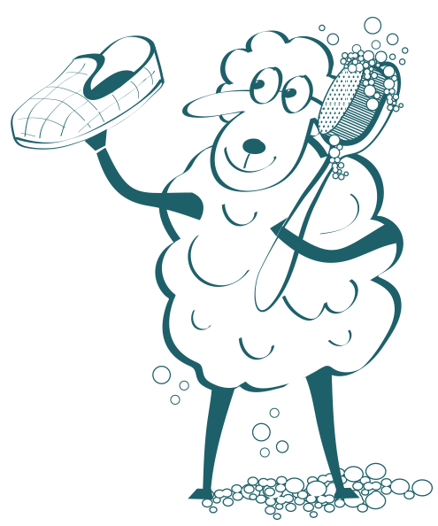 lavage chausse mouton