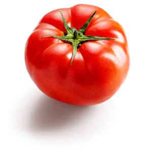 Fresh Tomatoes