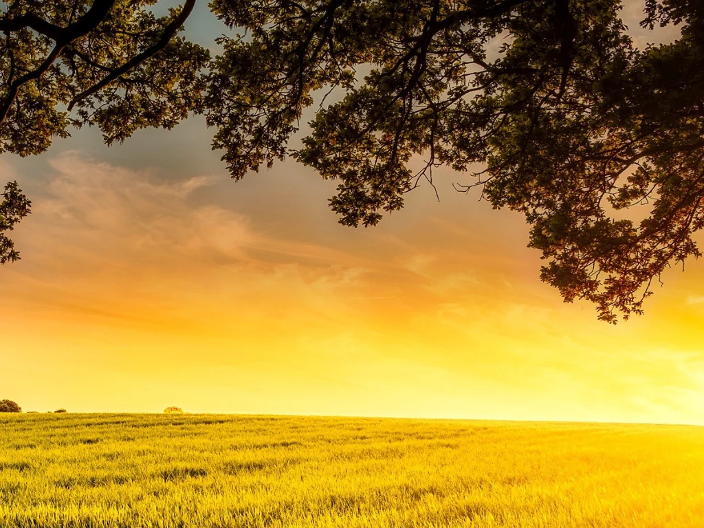 12 Best Tips for Golden Hour Photography FilterPixel Blog