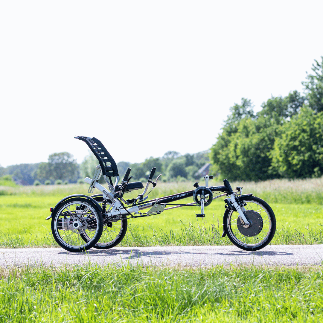 Tricycle Easy Sport