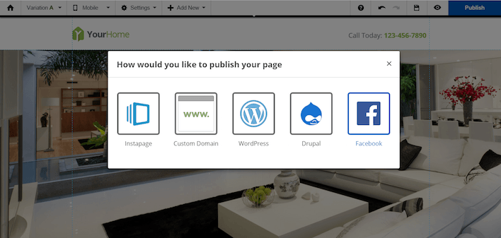 This picture shows the post-click landing page custom domain publishing options using Instapage software.
