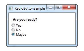 preliminary design review radio button form