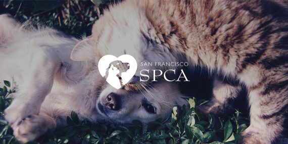 SPCA