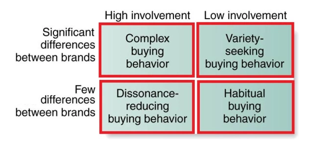 habitual buying behavior example
