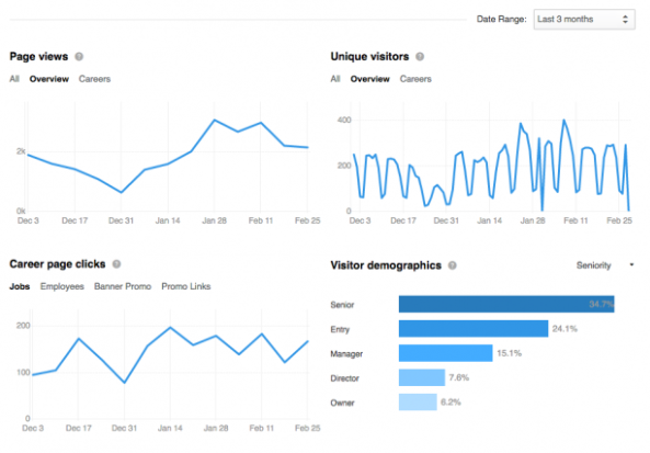 informações demográficas LinkedIn analytics