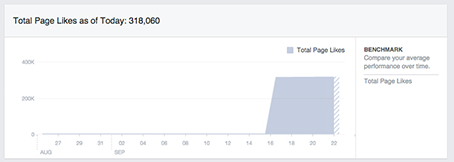 Curtidas da página do Facebook Insights