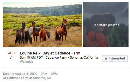 Facebook Event Response ads experience example