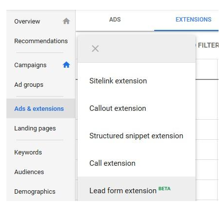 Google lead form extensions selection