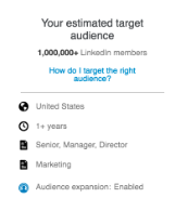 This image shows LinkedIn Ads  estimated target audience 