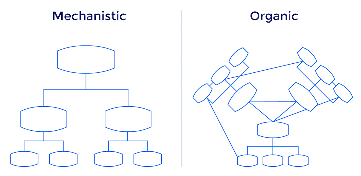 digital advertising agency structure