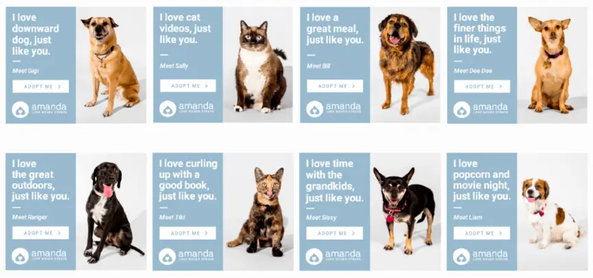 This image shows how the Amanda Foundation utilized extensive audience targeting to match potential adopters with suitable pets based on preferences, such as cats, dogs, or specific breeds, demonstrating the effectiveness of aligning ad campaigns with user preferences through audience research.