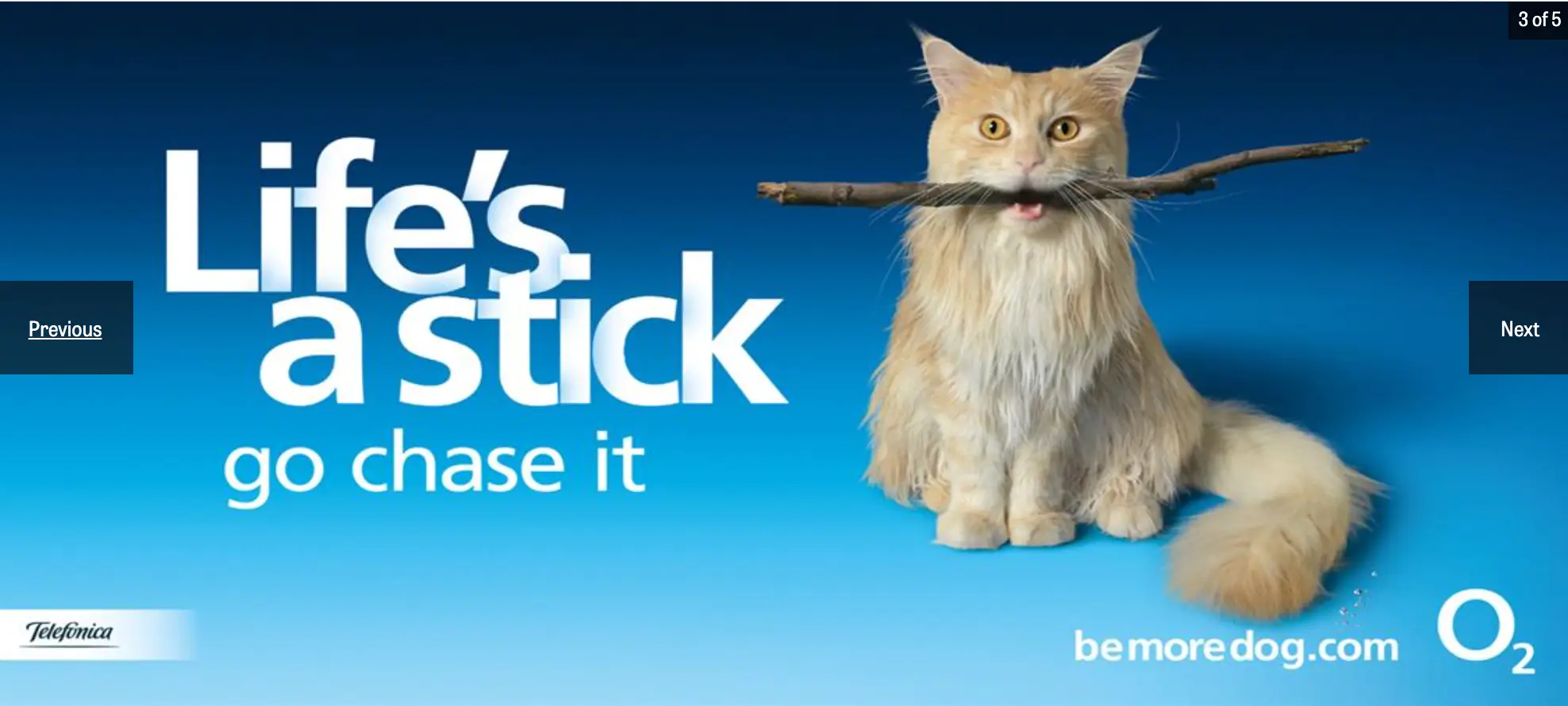 This image shows O2's "Be more dog" campaign, featuring a cat embracing a dog's enthusiastic lifestyle to convey the message that embracing technology can enhance life. The campaign, shown on YouTube, TV, and digital platforms, creatively captivated customers and boosted O2's market share.