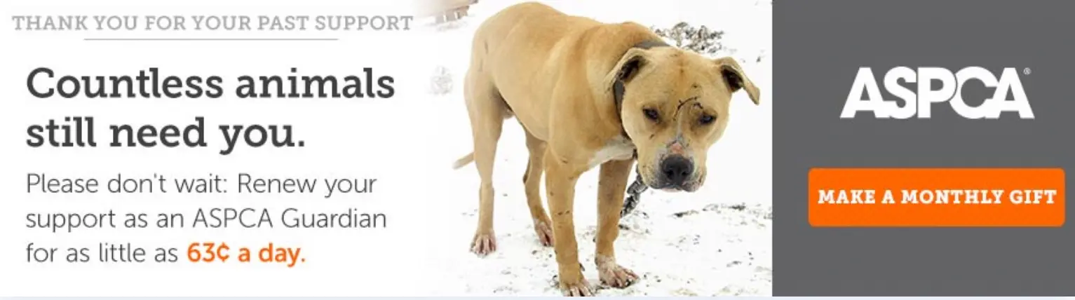 This animal shelter ad shows an example of psychographic segmentation