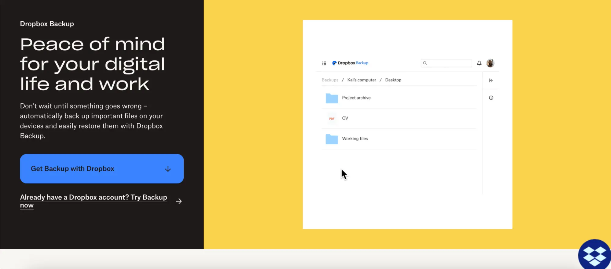 This image shows a screenshot of Dropbox Backup product