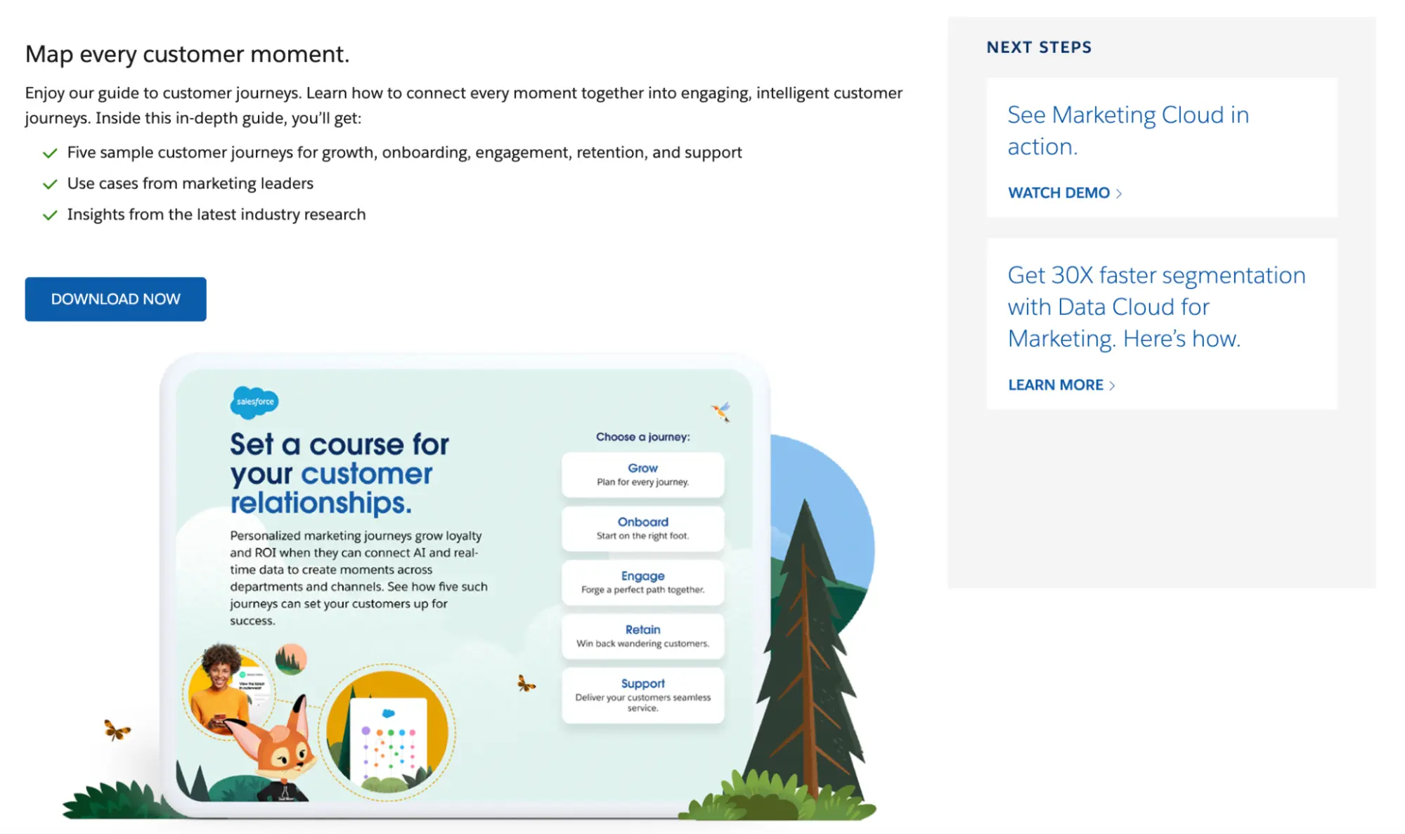 This image demonstrates how clicking the Salesforce email newsletter CTA for the guide brings the reader to a dedicated landing page