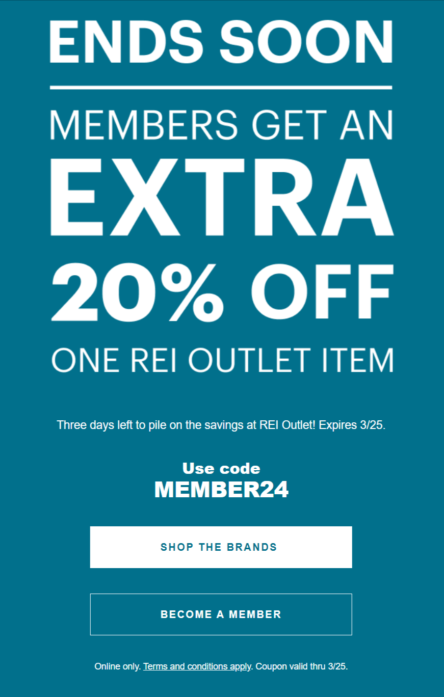 This image shows an example of REI pitch promotion