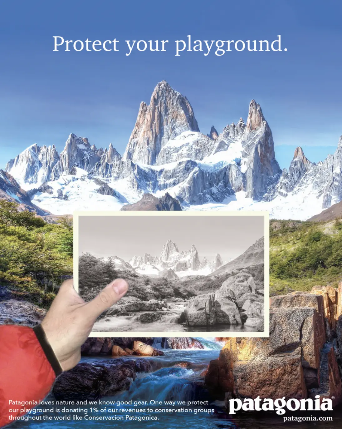 This image shows a screenshot of a Conservation Patagonia ad campaign