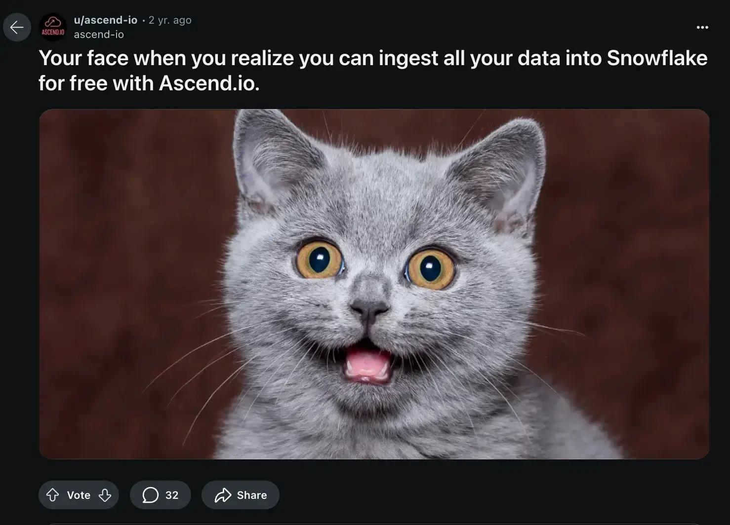 This image shows an example of Ascend.io ad campaign for Snowflake data storage