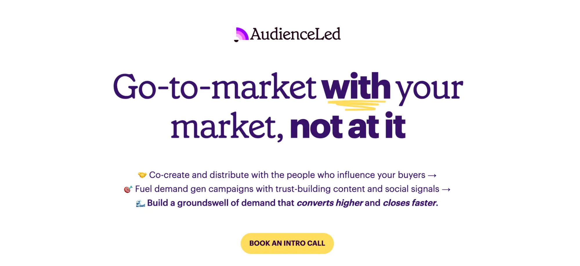 This image shows AudienceLed landing page example.