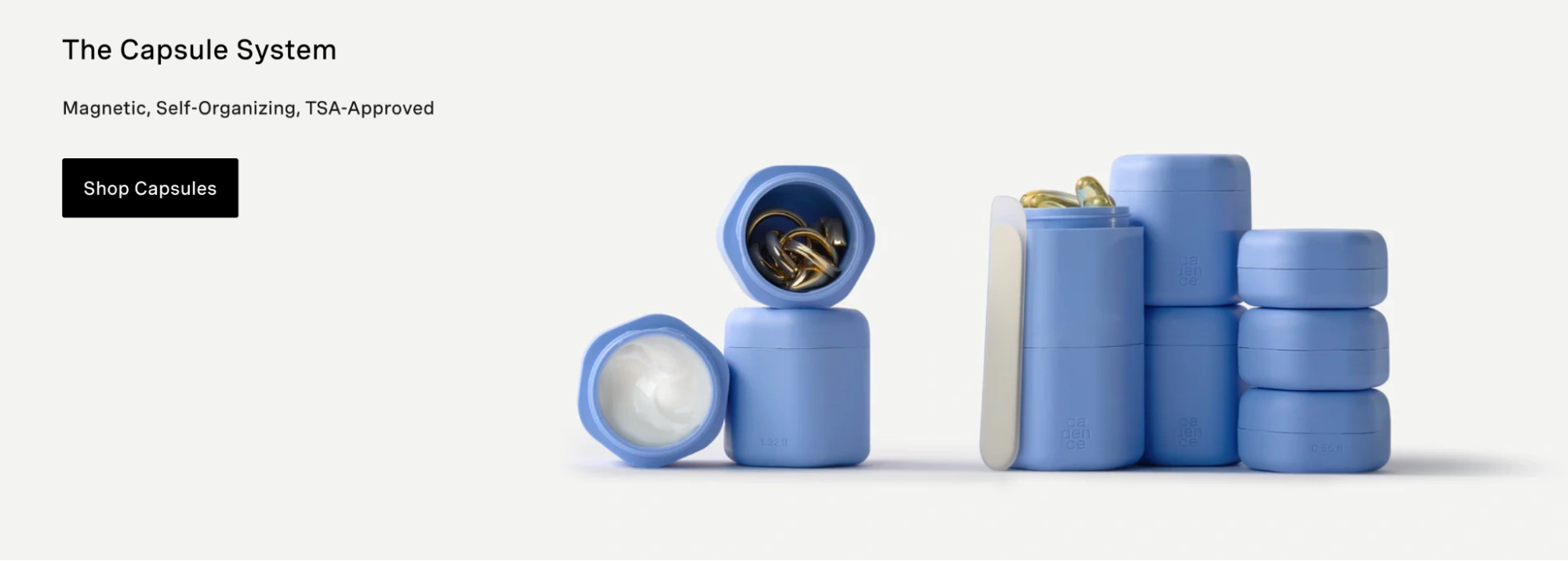 This image shows Cadence landing page example.