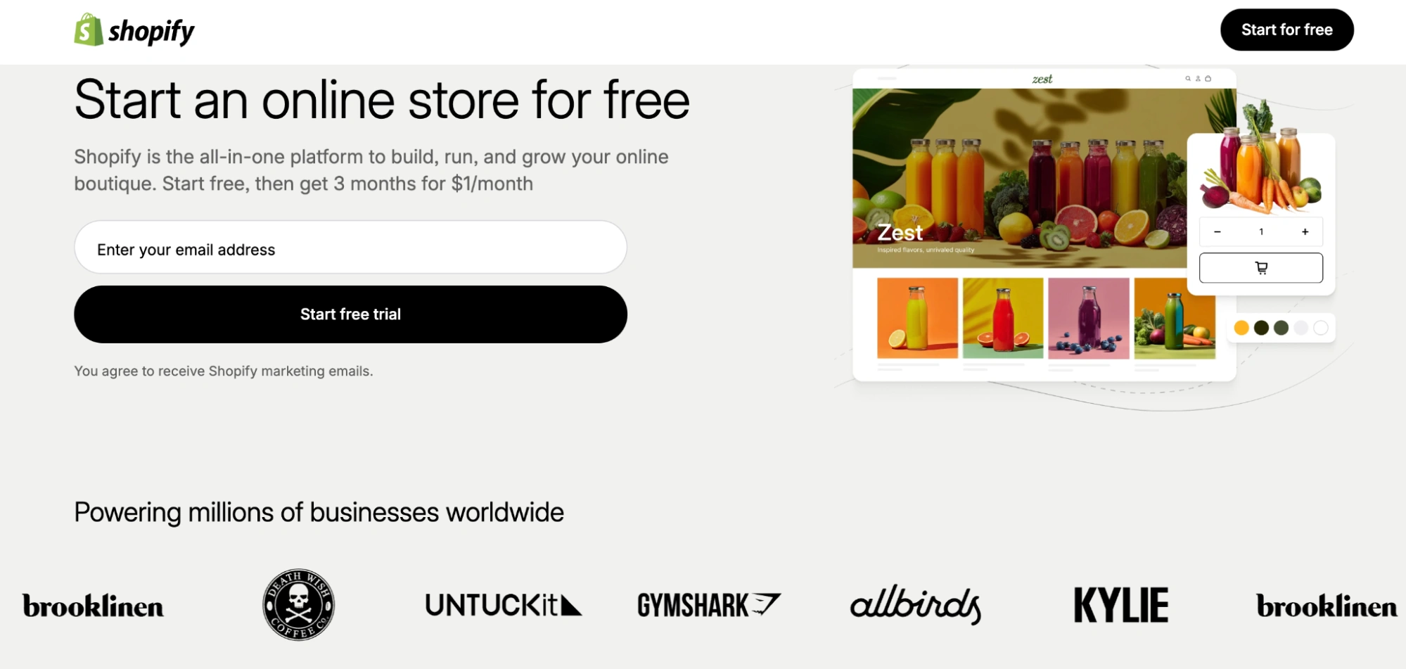 This image shows Shopify landing page example.