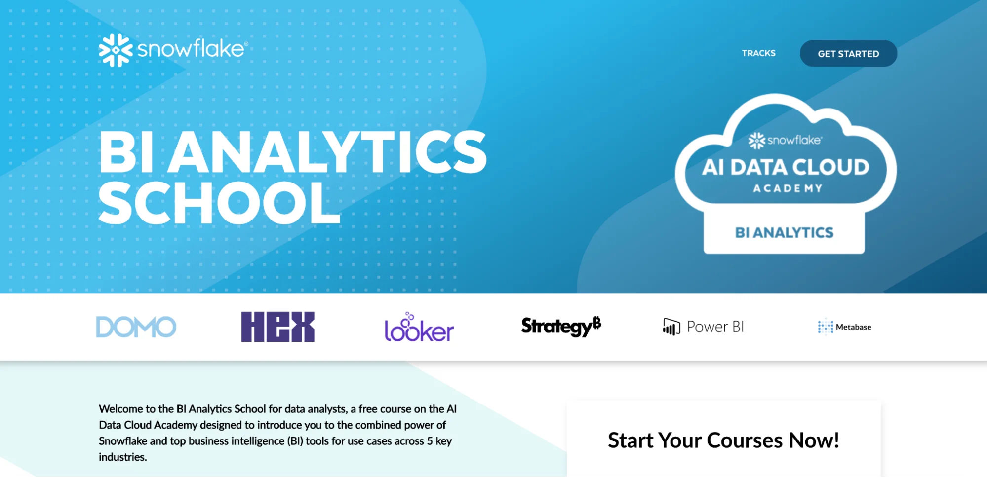 This image shows snowflake landing page example.