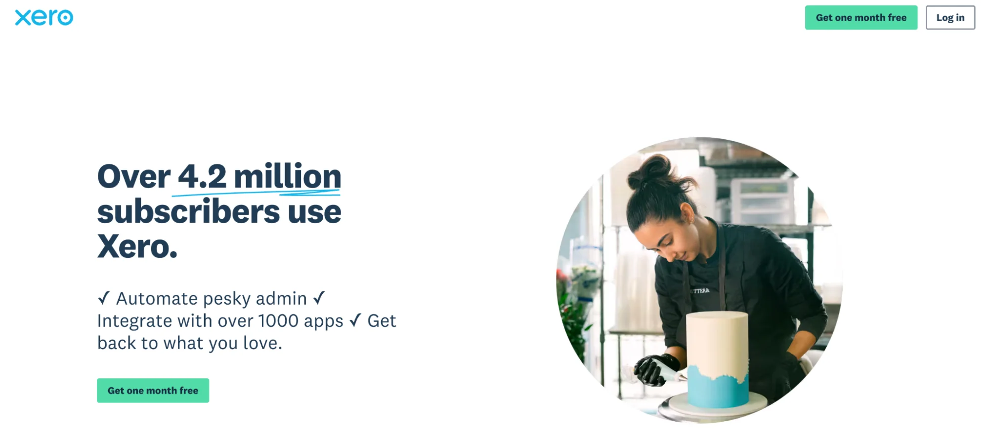 This image shows Xero landing page example.
