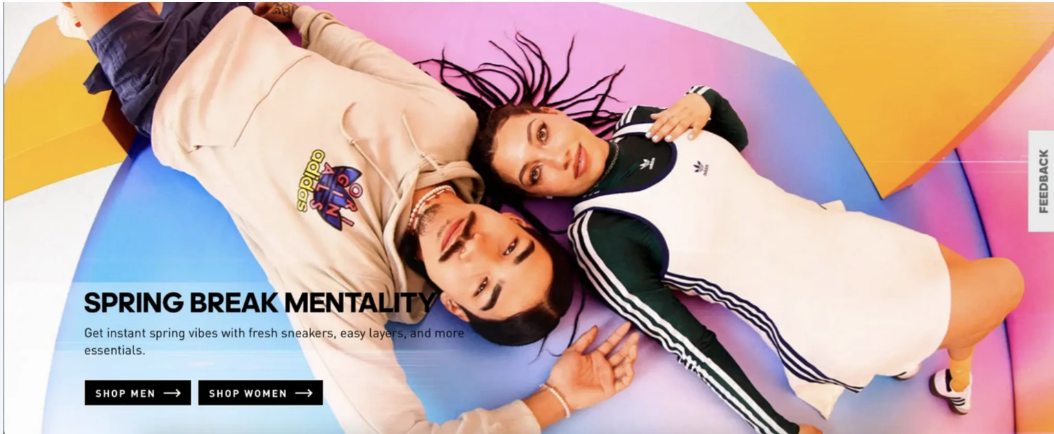 This image shows Adidas multi product landing page example.