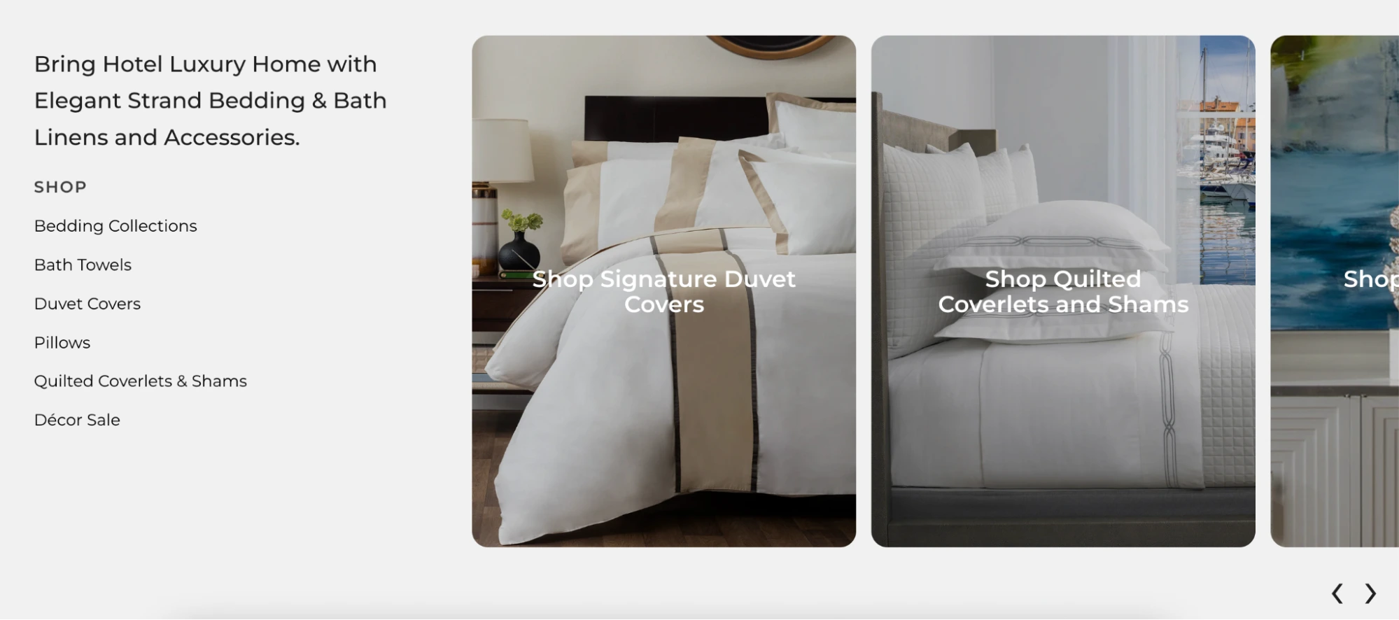 This image shows Elegant strand product landing page example.