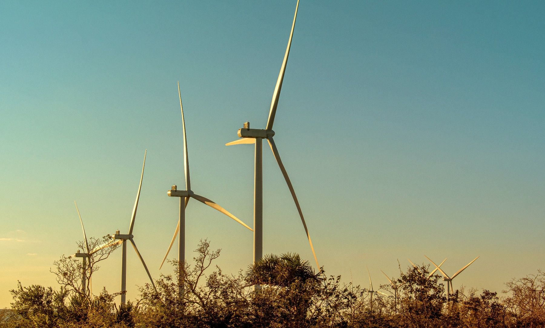 Energia dos ventos ao longo da História