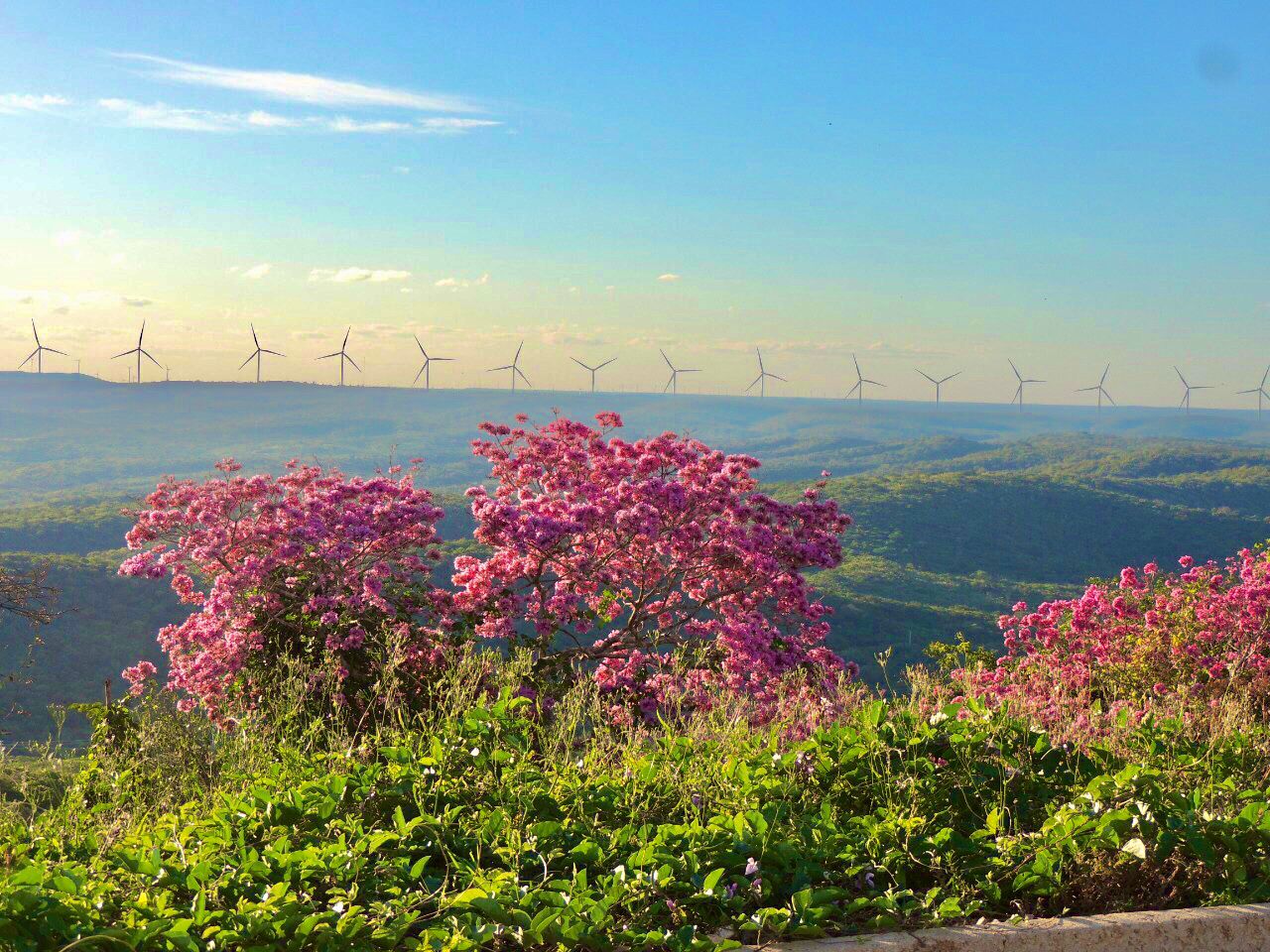 energia eólica. força do vento. energia sustentável e renovável. turbinas  eólicas geram eletricidade. fazenda de moinho de vento na montanha com céu  pôr do sol. tecnologia verde. fonte renovável. desenvolvimento sustentável.  11941691 Foto de stock no