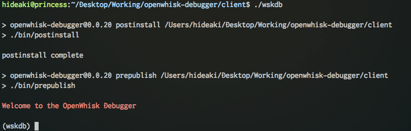 2__hideaki_princess____desktop_working_openwhisk-debugger_client__bash_