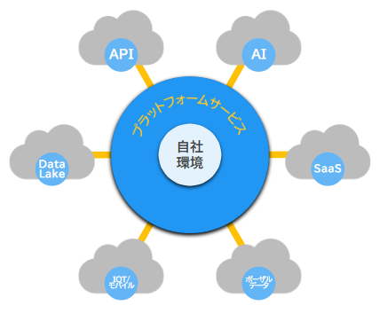 プラットフォームサービス、自社環境