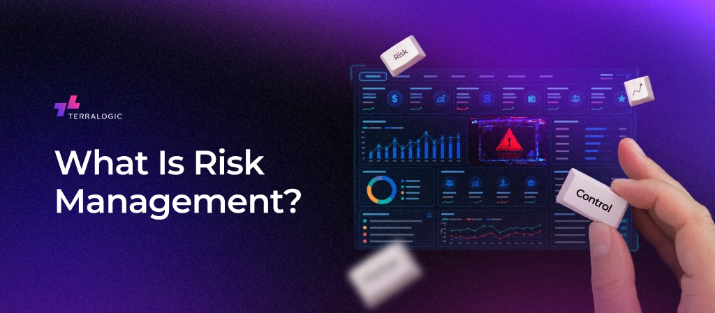 https://terralogic.com/what-is-risk-management/