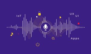 VUI (Voice User Interface)