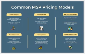 Common MSP pricing models