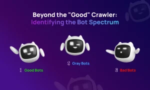 Website Bot Mitigation