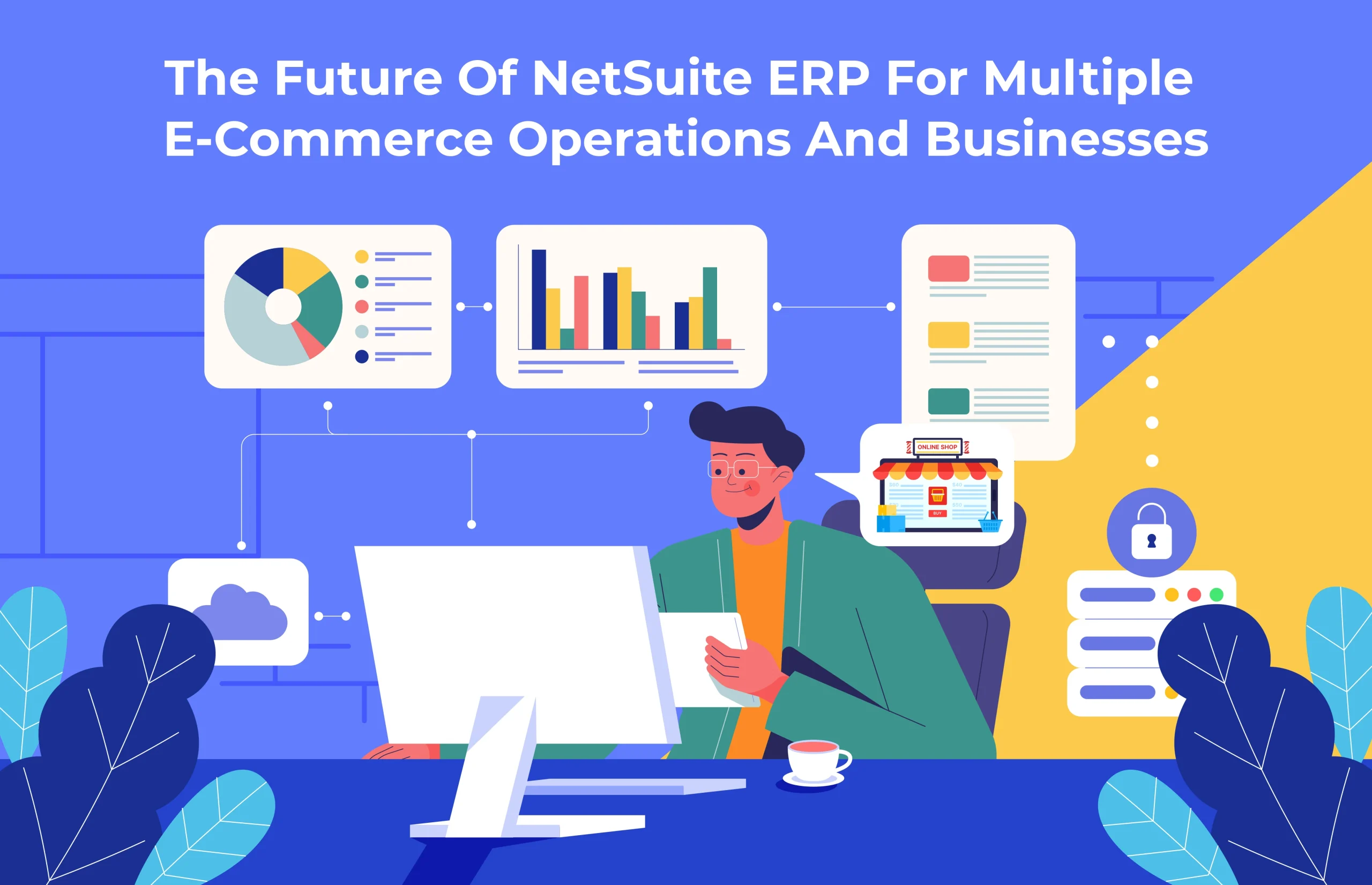 The Future of NetSuite ERP for Multiple eCommerce Operations and Businesses